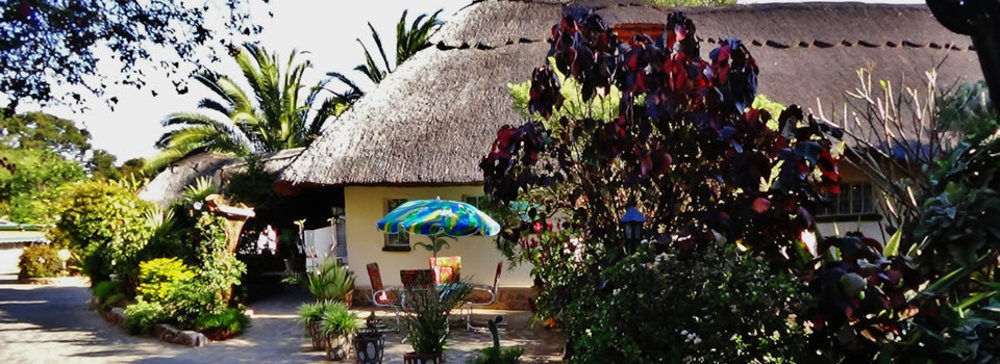Parrot Lodge Bulawayo Kültér fotó