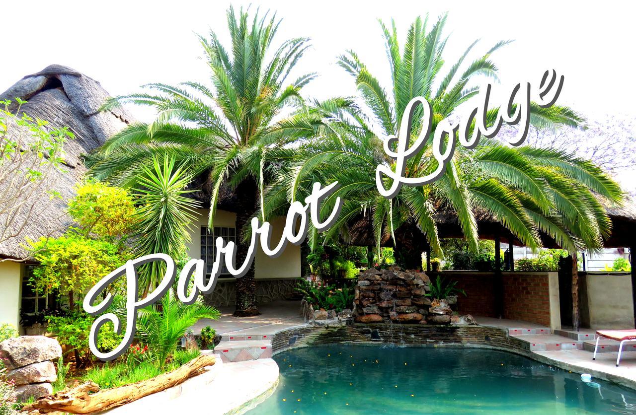 Parrot Lodge Bulawayo Kültér fotó