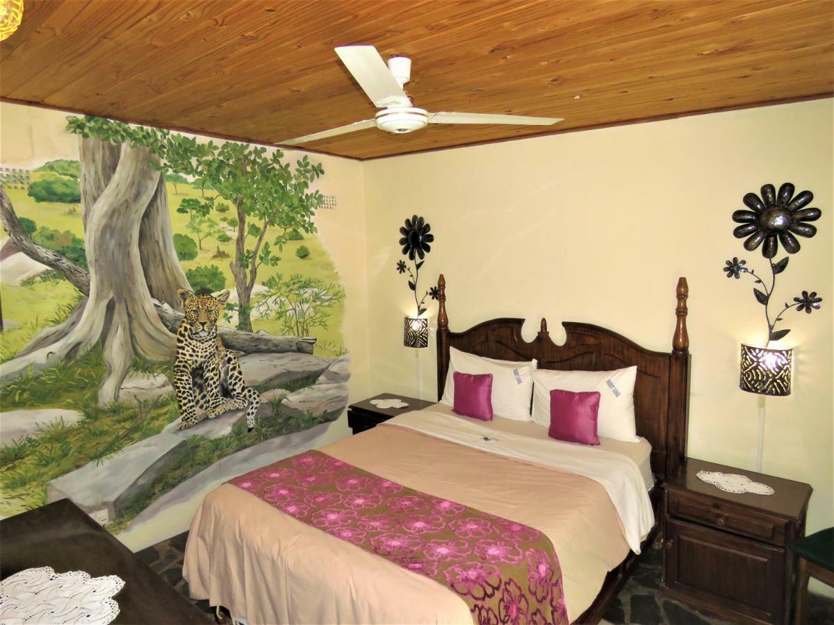 Parrot Lodge Bulawayo Kültér fotó